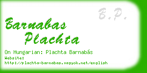 barnabas plachta business card